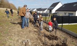 Plantations Cavalier   013